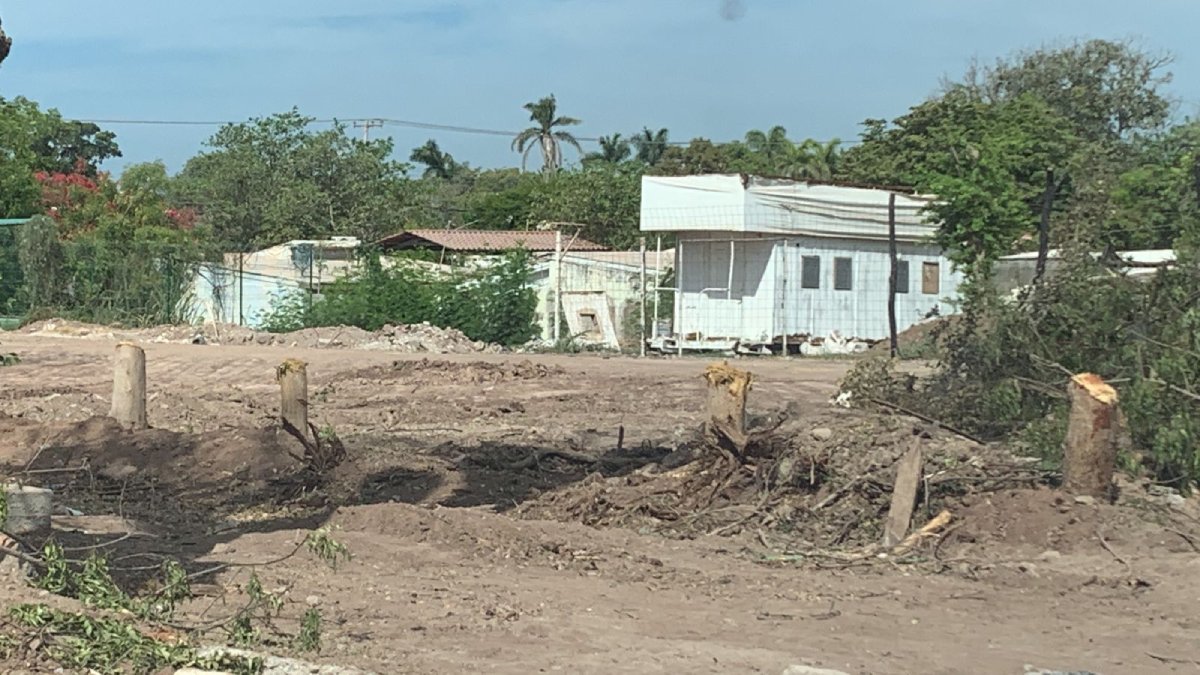 Denuncian vecinos de la colonia 12 de Octubre ‘ecocidio’ en Los Mochis