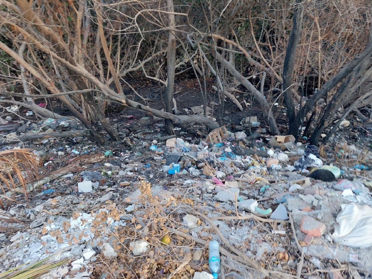 Quemada y llena de basura la zona del manglar sobre la Avenida Río Piaxtla en Mazatlán
