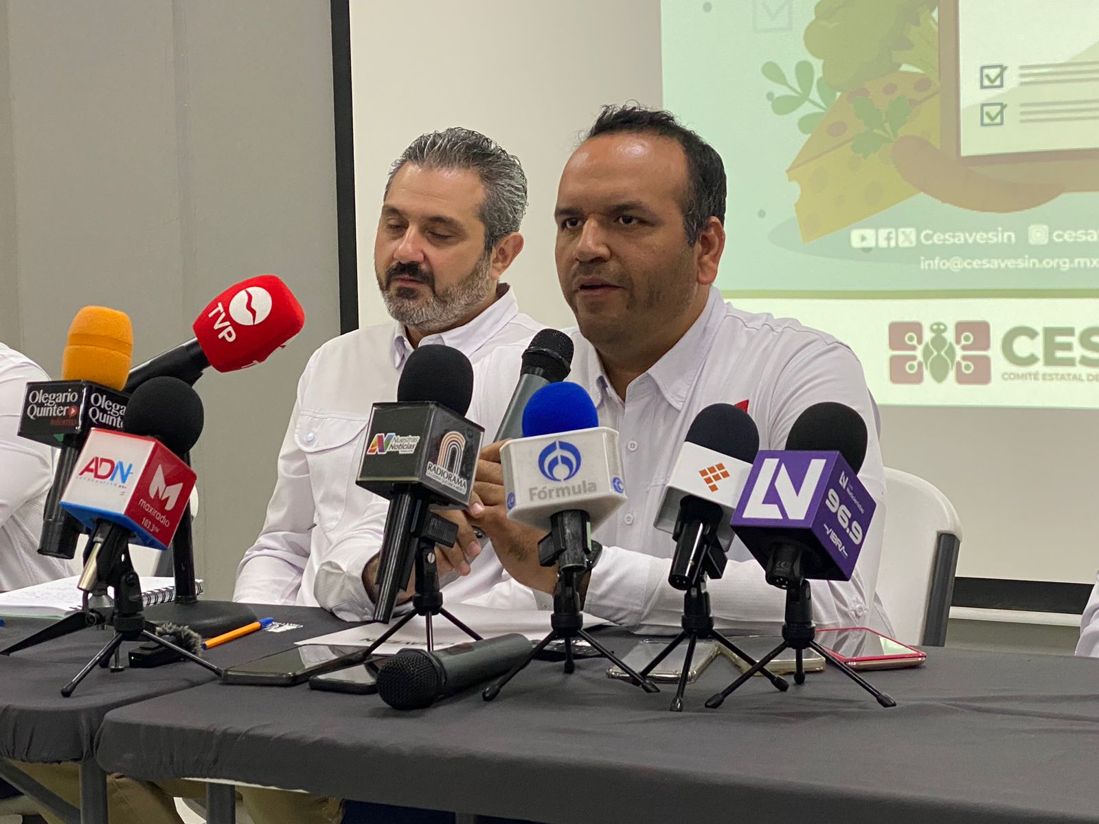 Rendimientos por hectárea en maíz superan lo esperado, considerando falta de agua: Cesavesin