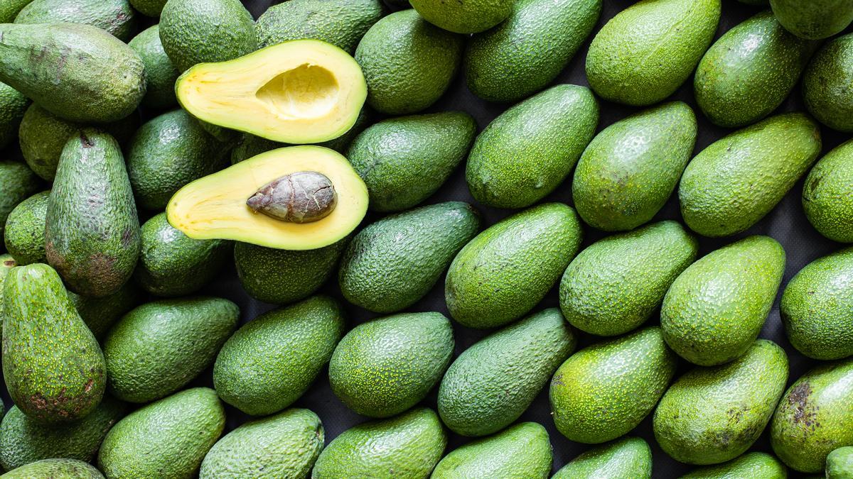 ‘Es una medida unilateral’: AMLO rechaza suspensión de exportación de aguacate de Michoacán