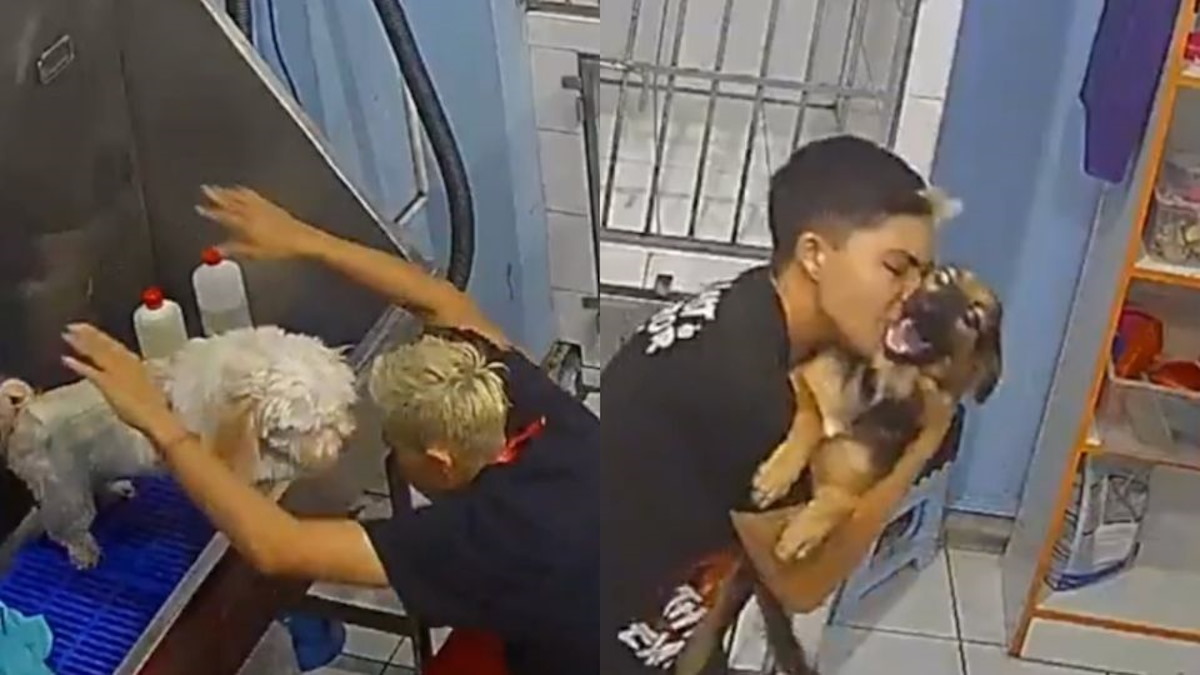 Viral | Joven enternece las redes sociales al bailar cuando baña a perritos en una veterinaria