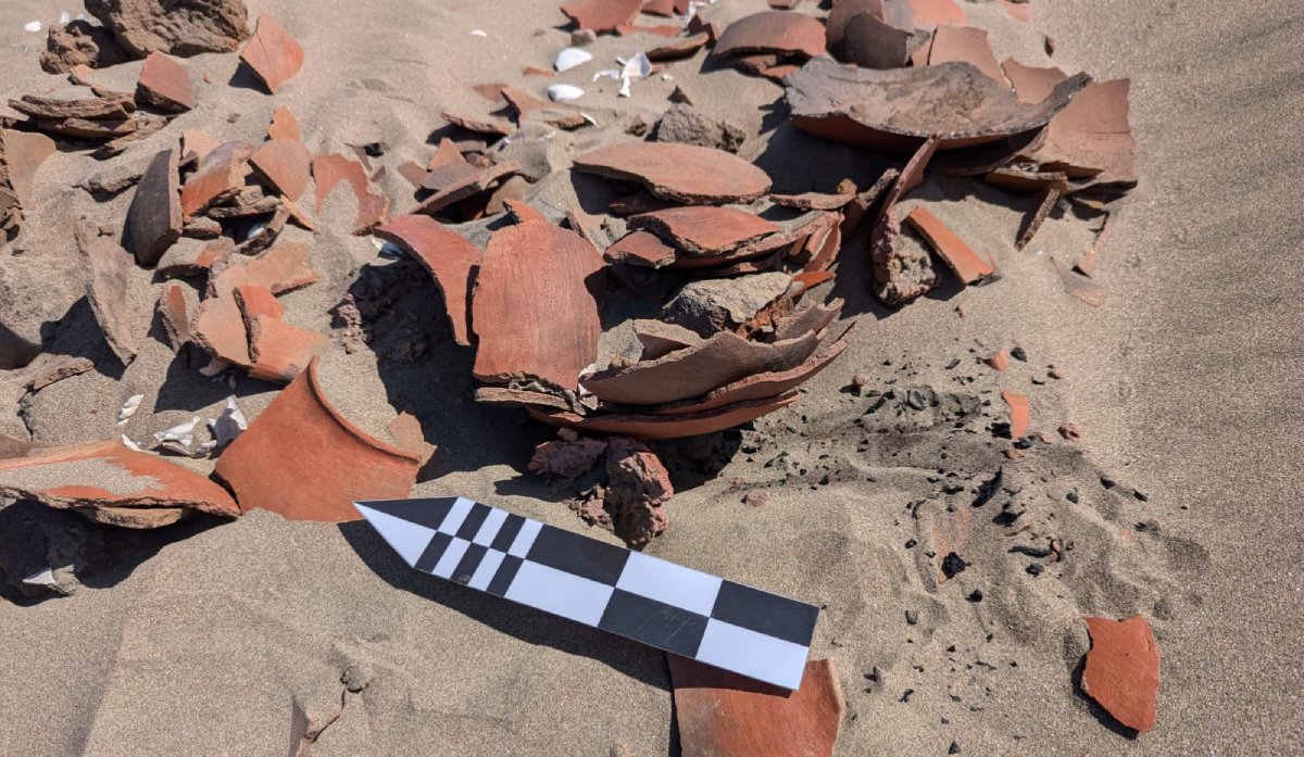 ¡Sorprendente! Antropólogo descubre en Guasave concheros que pudieran ser los más grandes de Sinaloa