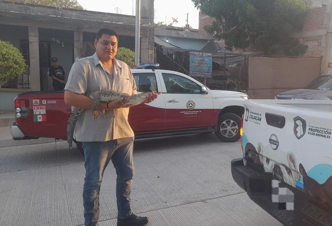 VIDEO | ¡Vaya susto! Encuentran a un cocodrilo pequeño tomando el sol en el patio de una casa en Culiacán