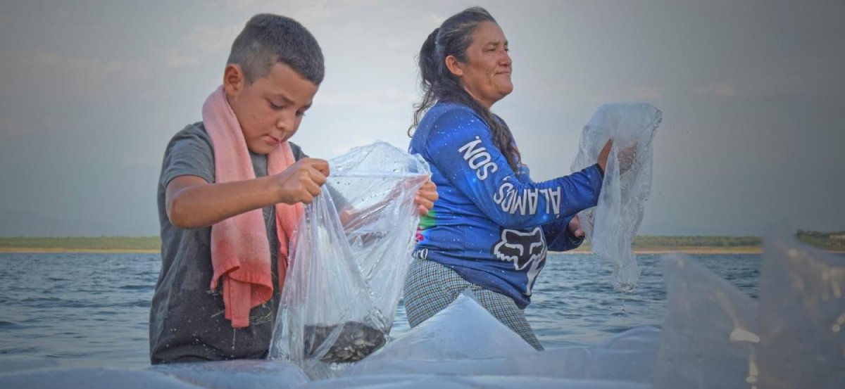 El 21 de junio inicia autoveda en pesca de tilapia y mojarra en presas de El Fuerte