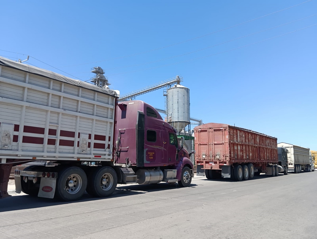 Saturación en bodegas retrasa trillas y acarreos de granos en Guasave, “no hay camiones”: Comité Campesino #5