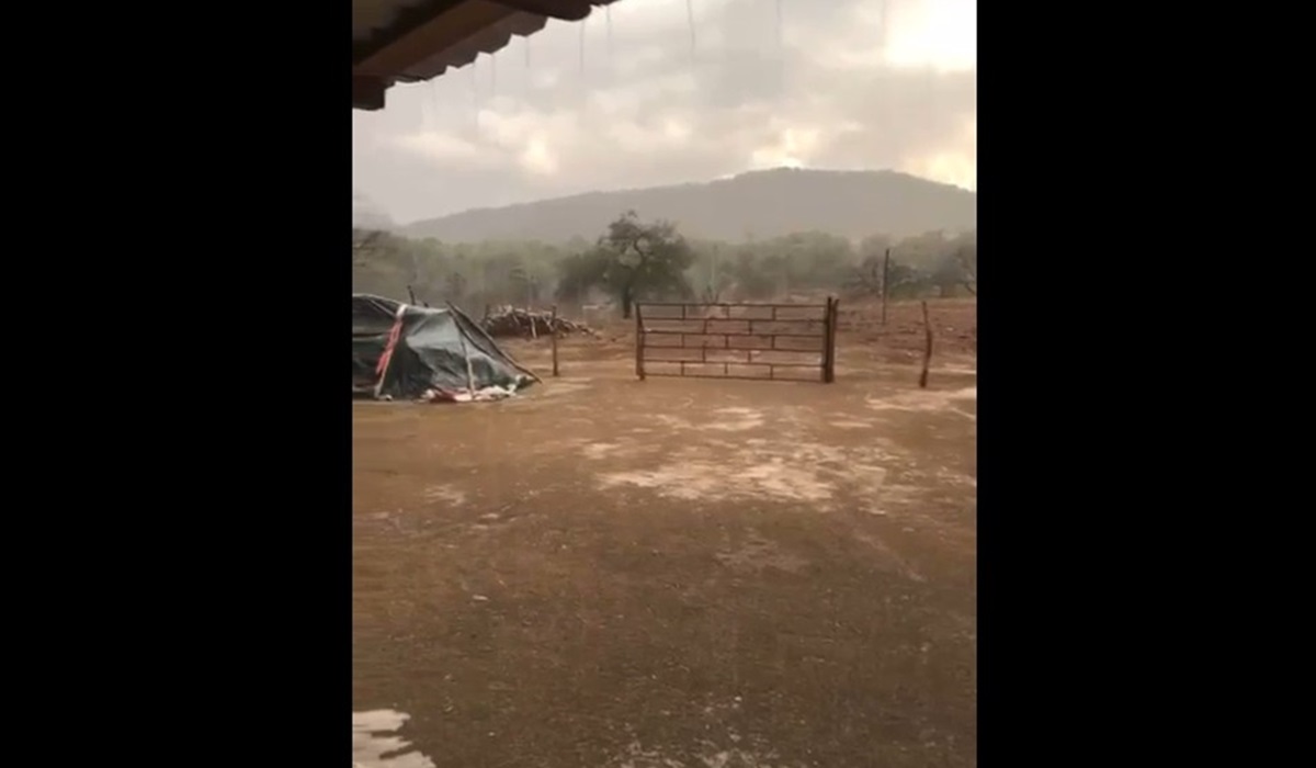 Choix: La esperanza surge en medio de la sequía, gracias a las lluvias en la sierra