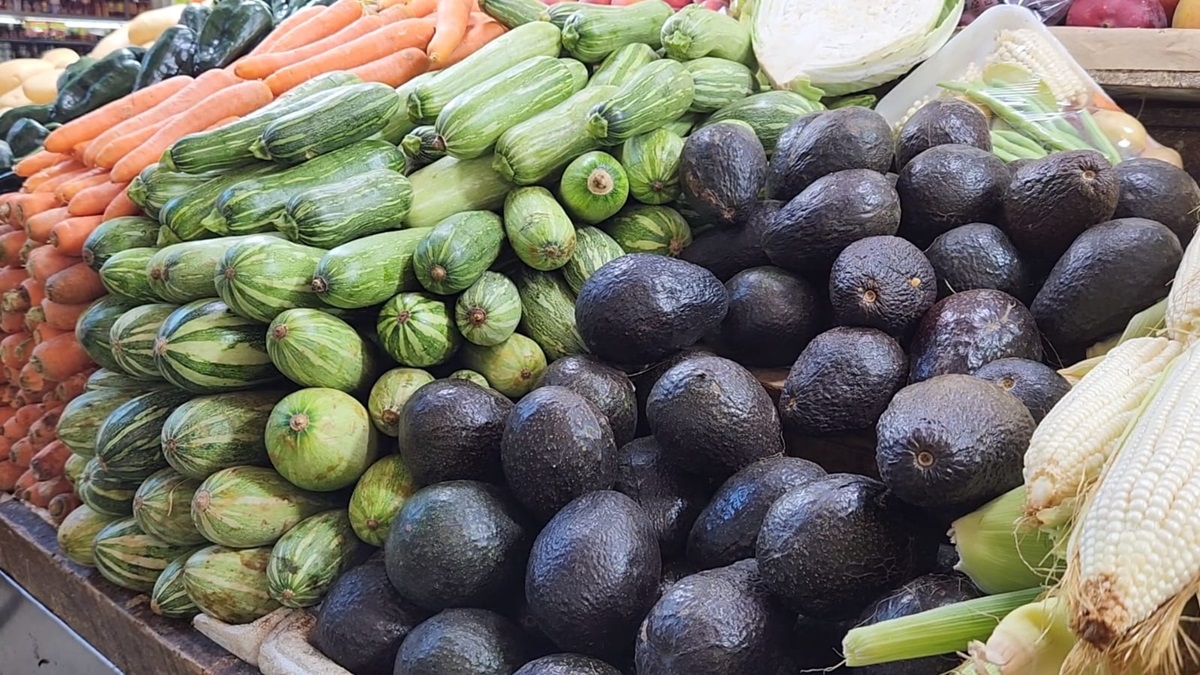 Aguacate alcanza los 90 pesos el kilo en Culiacán, ya es considerado el oro verde
