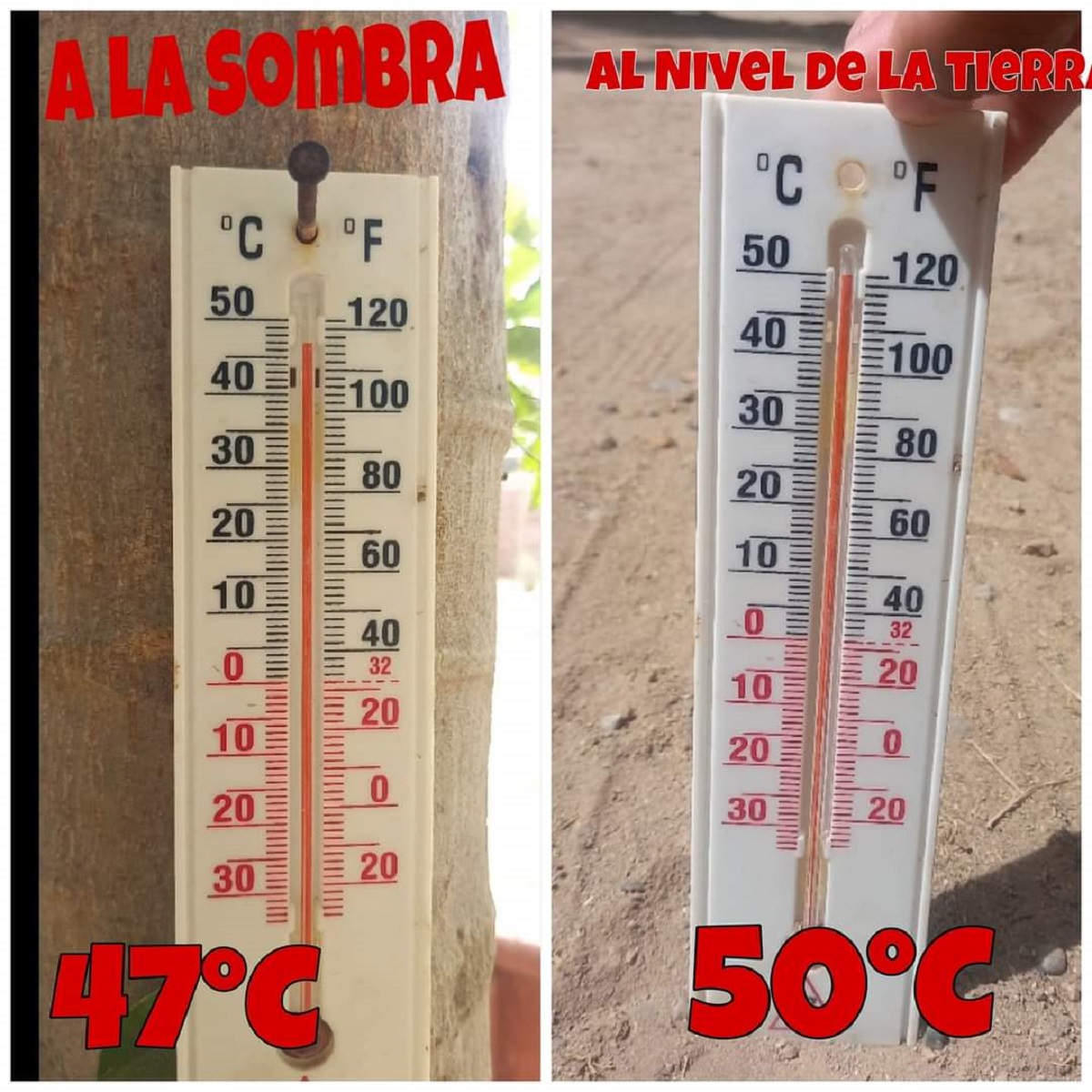 ¡A 50 grados! Un infierno de calor se registra en Genaro Estrada, Sinaloa municipio