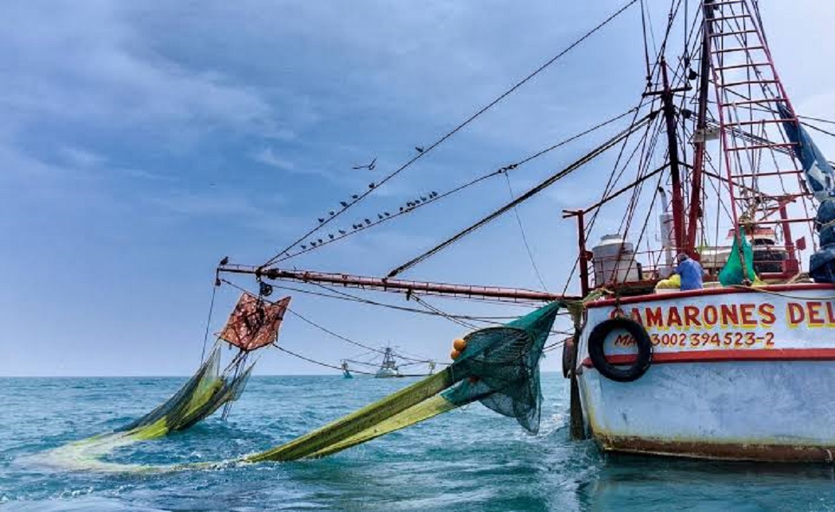 Se ‘hunde’ la actividad pesquera en Topolobampo; embarcaciones de altamar se quedarán atracadas