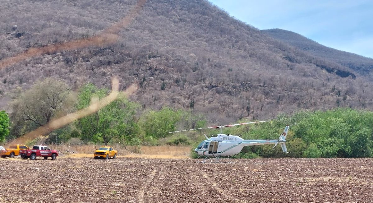 Es secretaria de Conflictos del PRD, la mujer que cayó de la cima del Cerro Carricitos