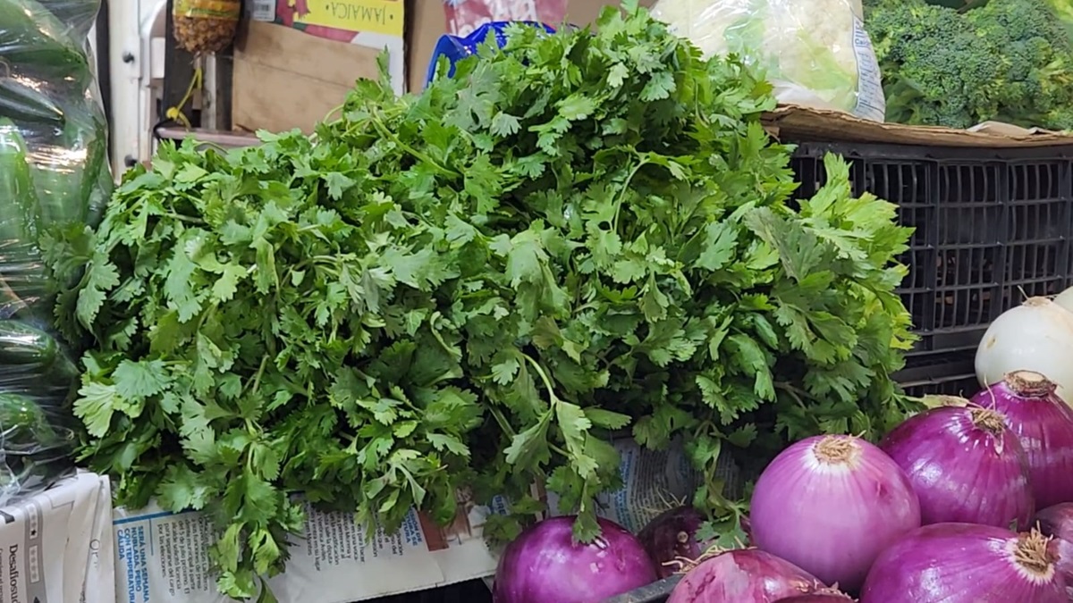 Aguacate, cilantro, cebolla y lechuga por los cielos: Locatarios del Mercado Garmendia en Culiacán