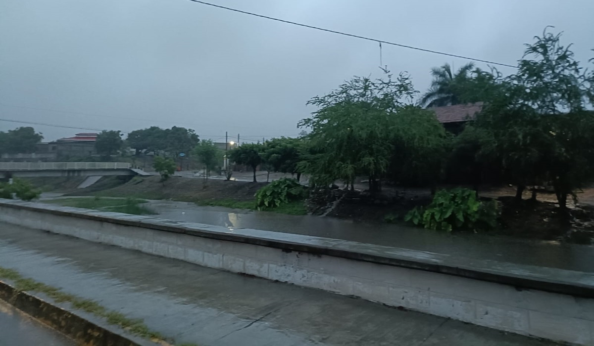“Dan un respiro”, primeras lluvias benefician a productores pecuarios en Sinaloa municipio: líder ganadero