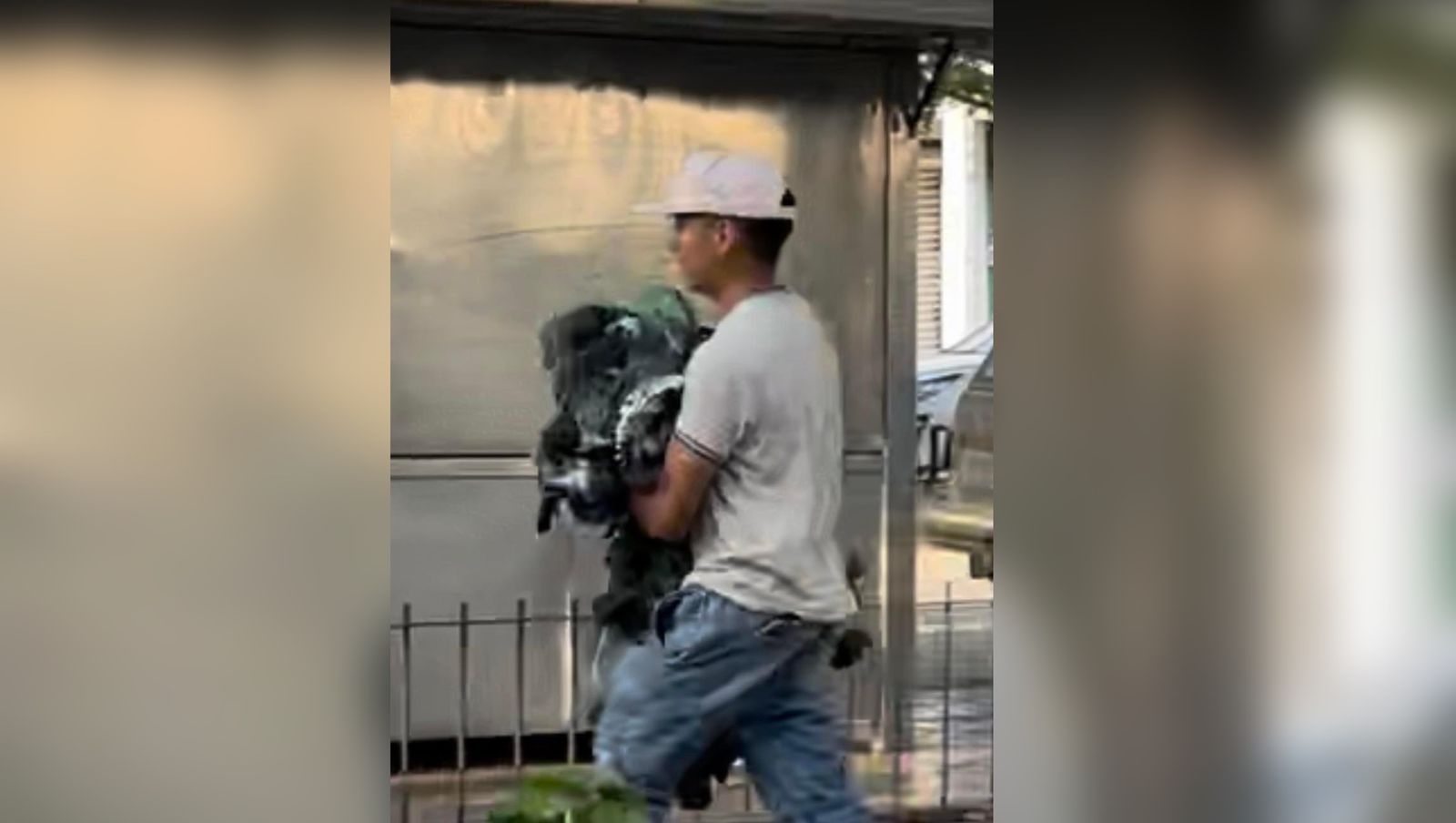 (VIDEO) Denuncian robo…¡de los pichones de Catedral de Culiacán!