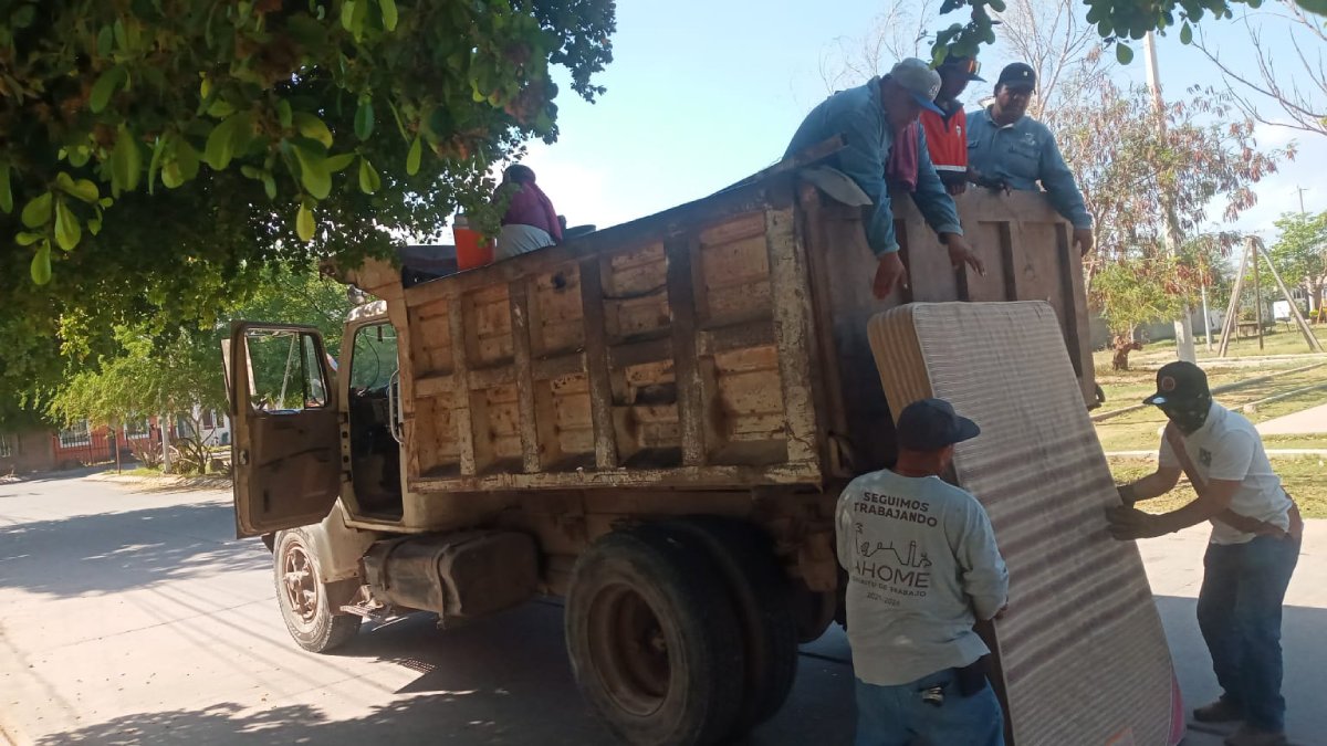 ¡Van con todo! Salud municipal en Ahome emprende campaña contra criaderos del dengue