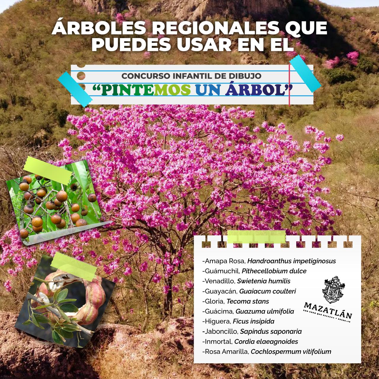 Lanzan en Mazatlán el concurso infantil “Pintemos un Árbol” por el Día Mundial del Árbol