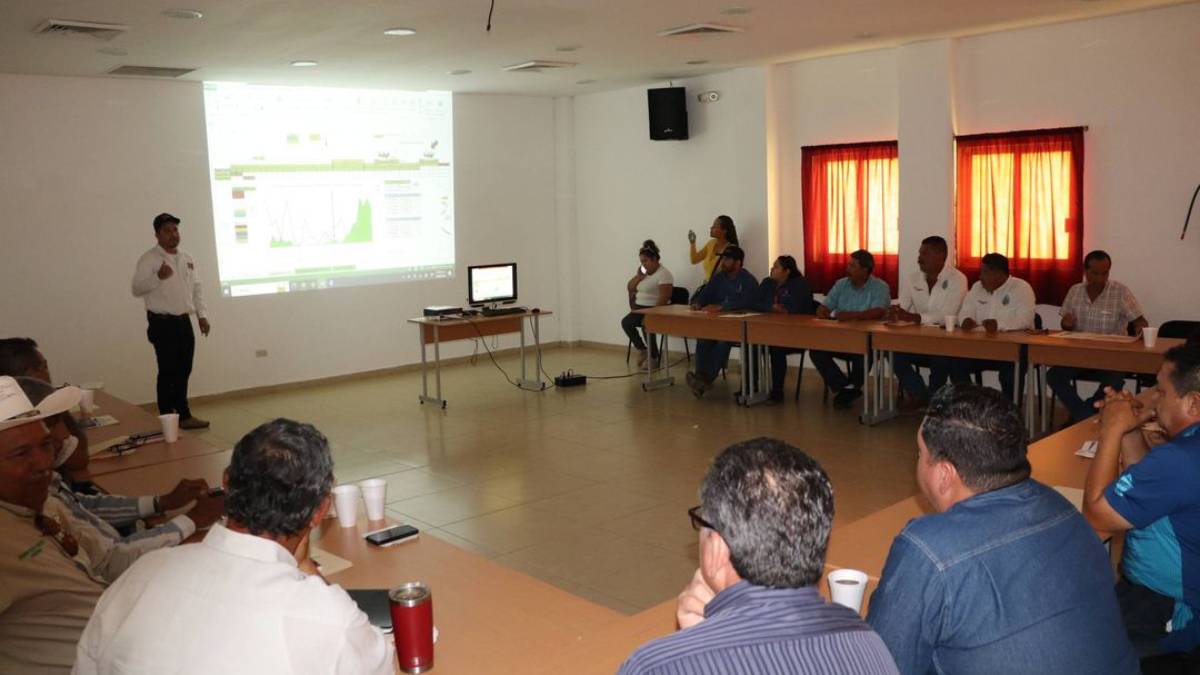 Escuinapa va en búsqueda de solucionar los problemas más fuertes del mango