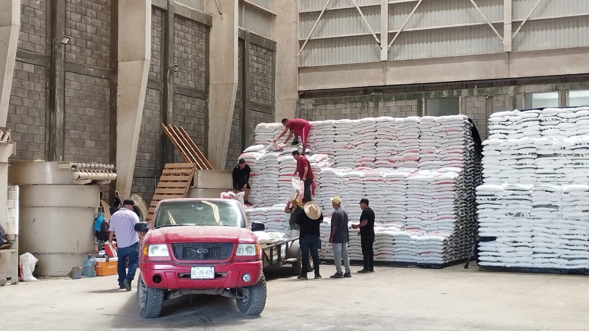¡Atención productores! Inicia la entrega de fertilizantes gratuitos a agricultores de Guasave