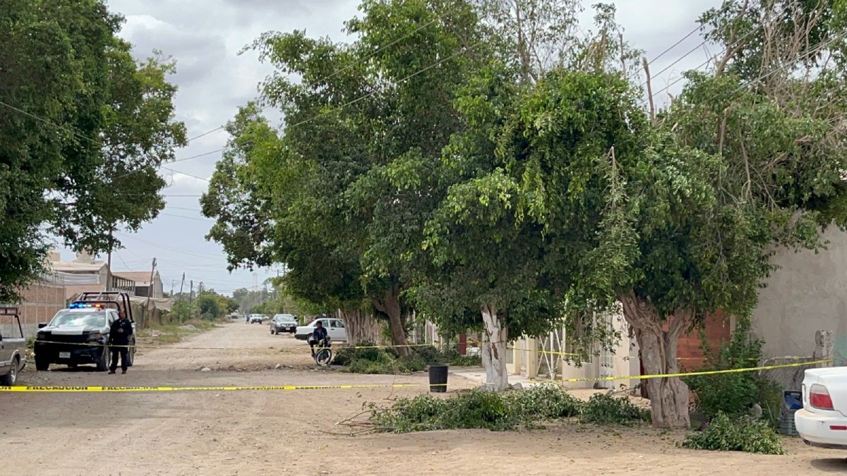 Mientras podaba un árbol en Guasave, un hombre perdió la vida al recibir descarga eléctrica