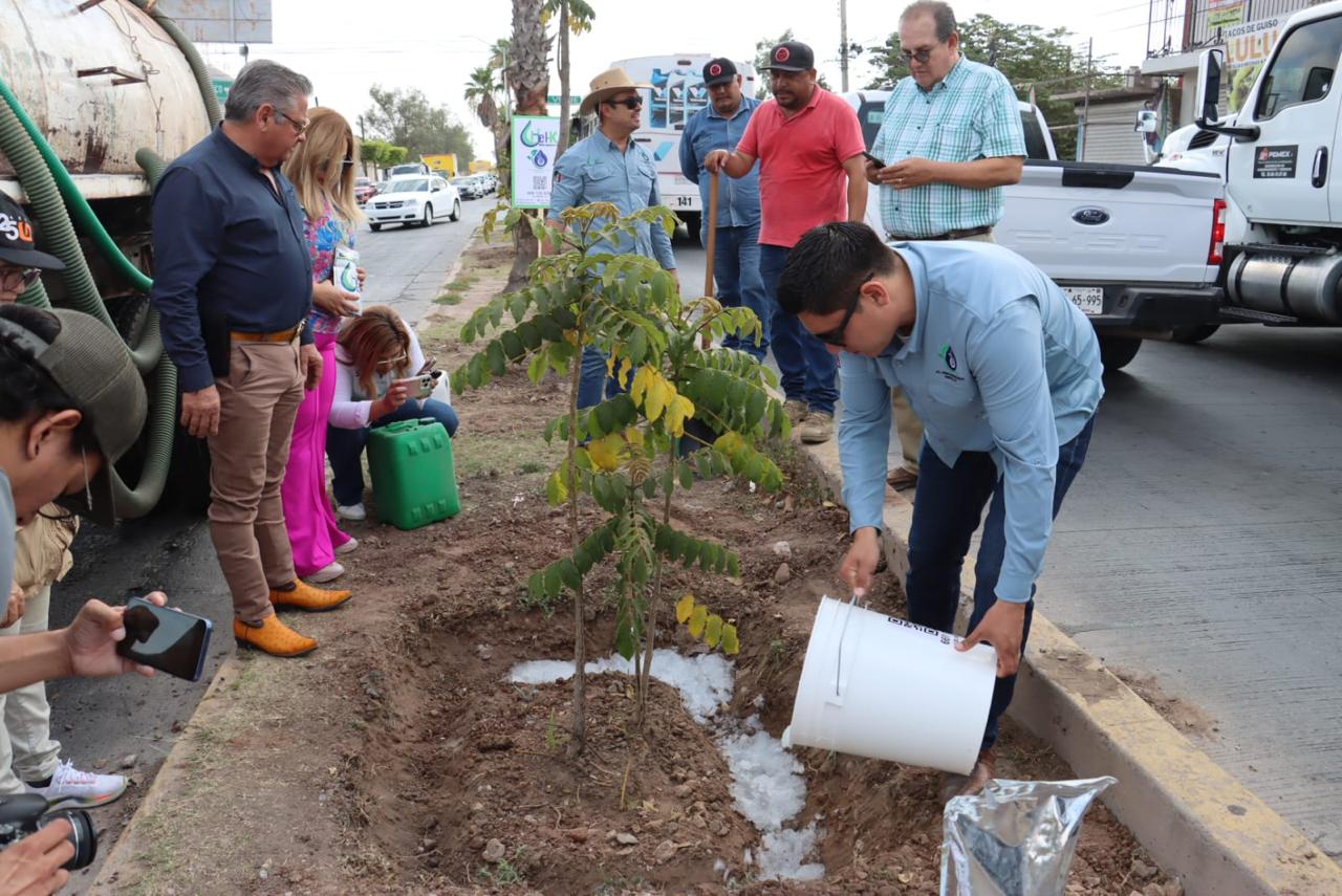 Implementa Ayuntamiento de Ahome plan piloto para ahorrar hasta un 70% de agua en riego de parques y camellones