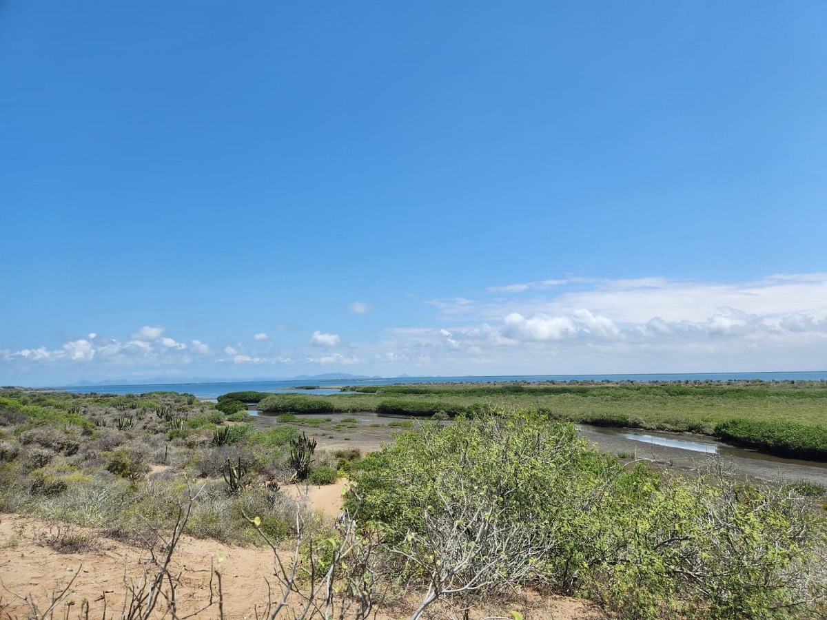 Isla Macapule, en Guasave, por declararse zona arqueológica protegida