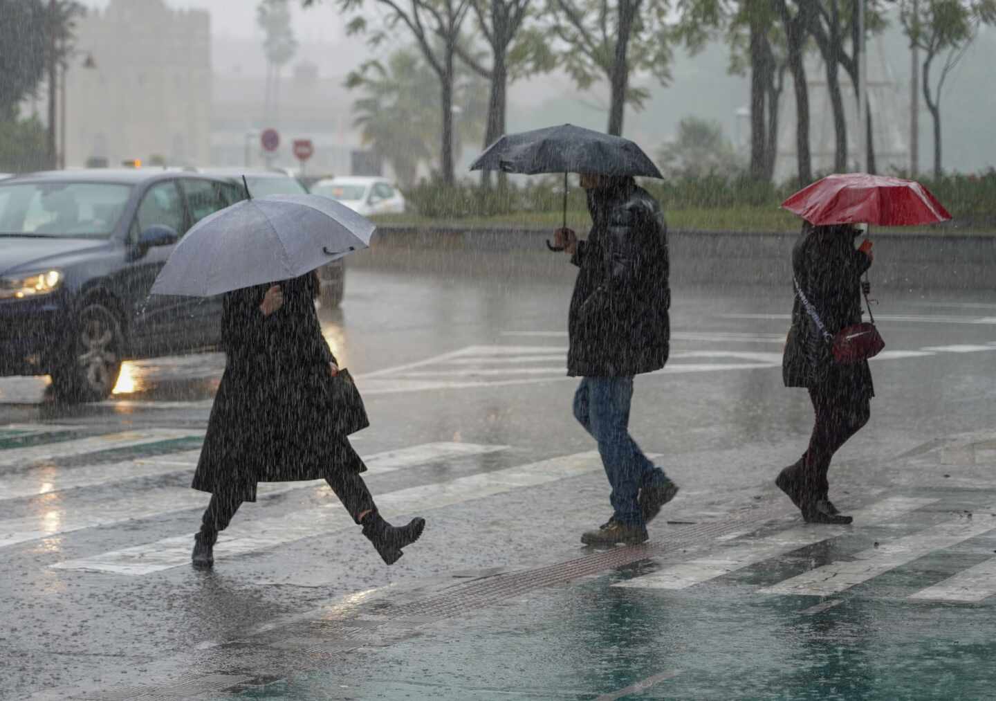 ¡Buen panorama! Lluvias continuarán hasta alcanzar los 50 ó 75 milímetros el sábado y el calor será de 35 grados