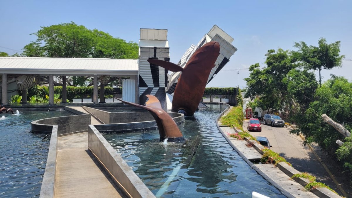 Llega a Mazatlán Munba, Museo Nacional para la conservación e investigación de cetáceos
