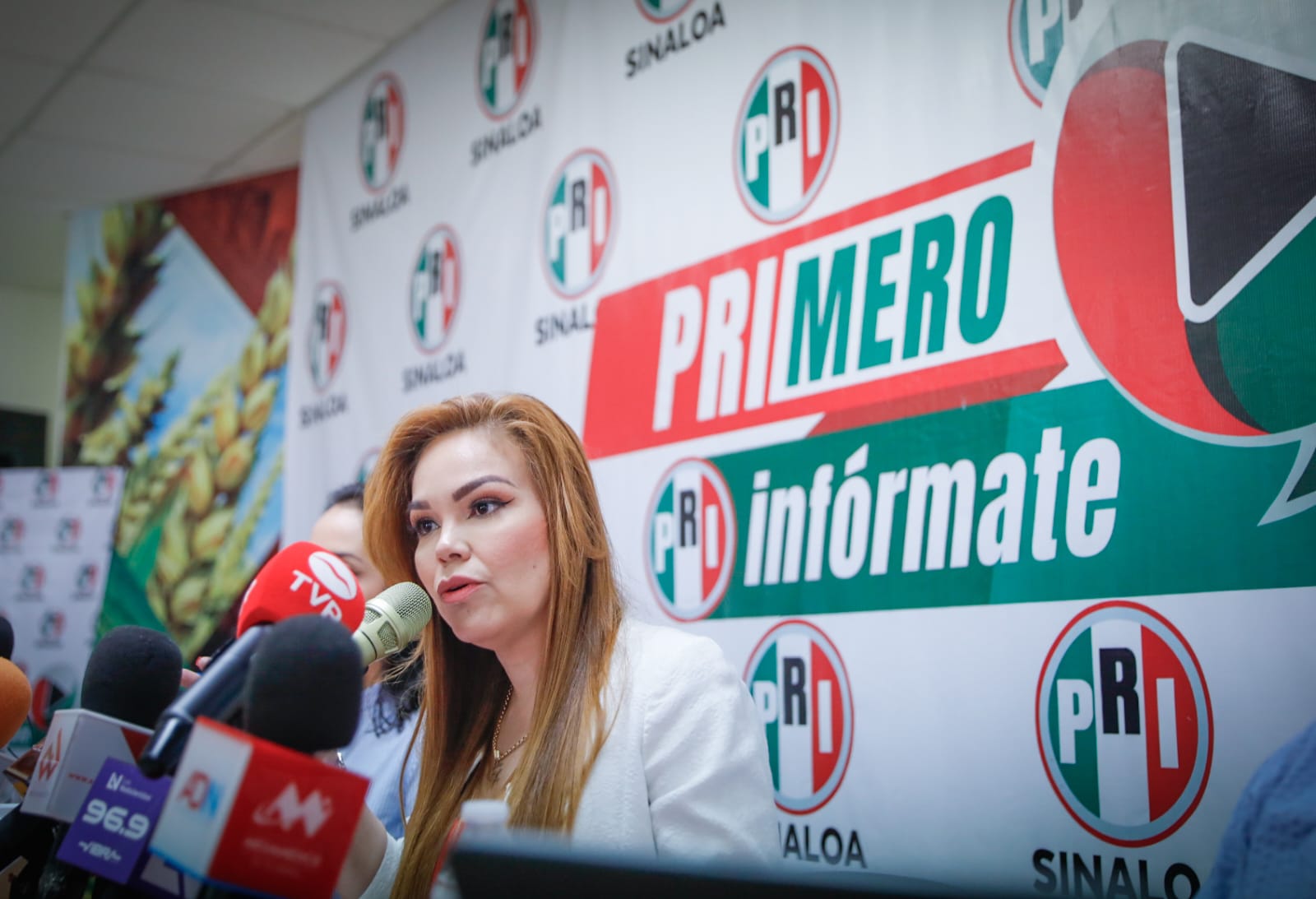 Impugnará PRI resolución del Trife que les quita una diputación ‘pluri’: Paola Gárate
