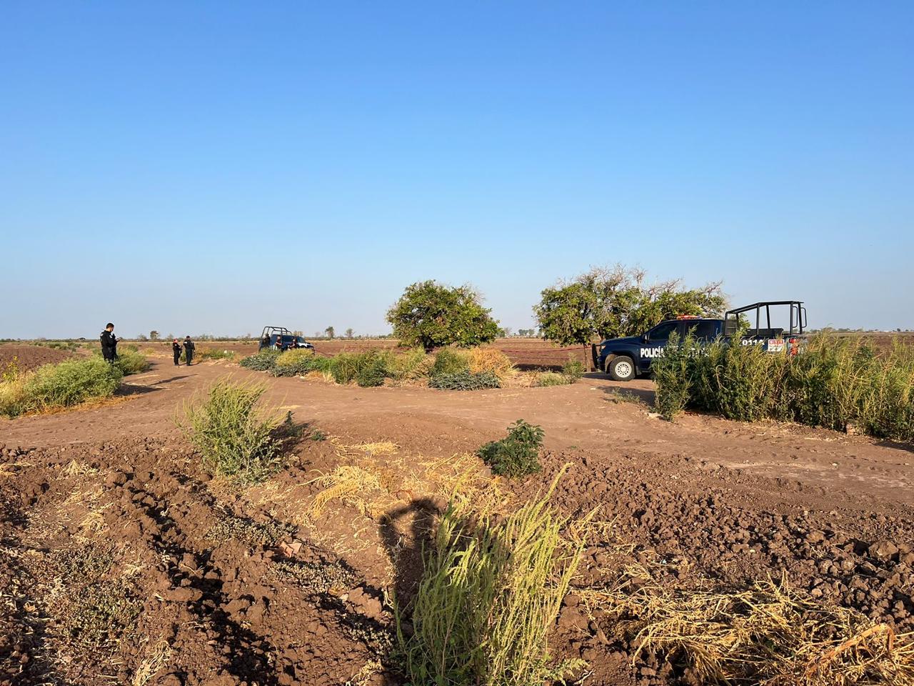 Era policía estatal el hombre hallado asesinado en Angostura; también mataron a su hermano