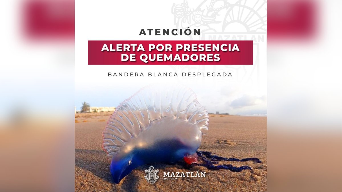Advierten presencia de quemadores en esta playa de Mazatlán