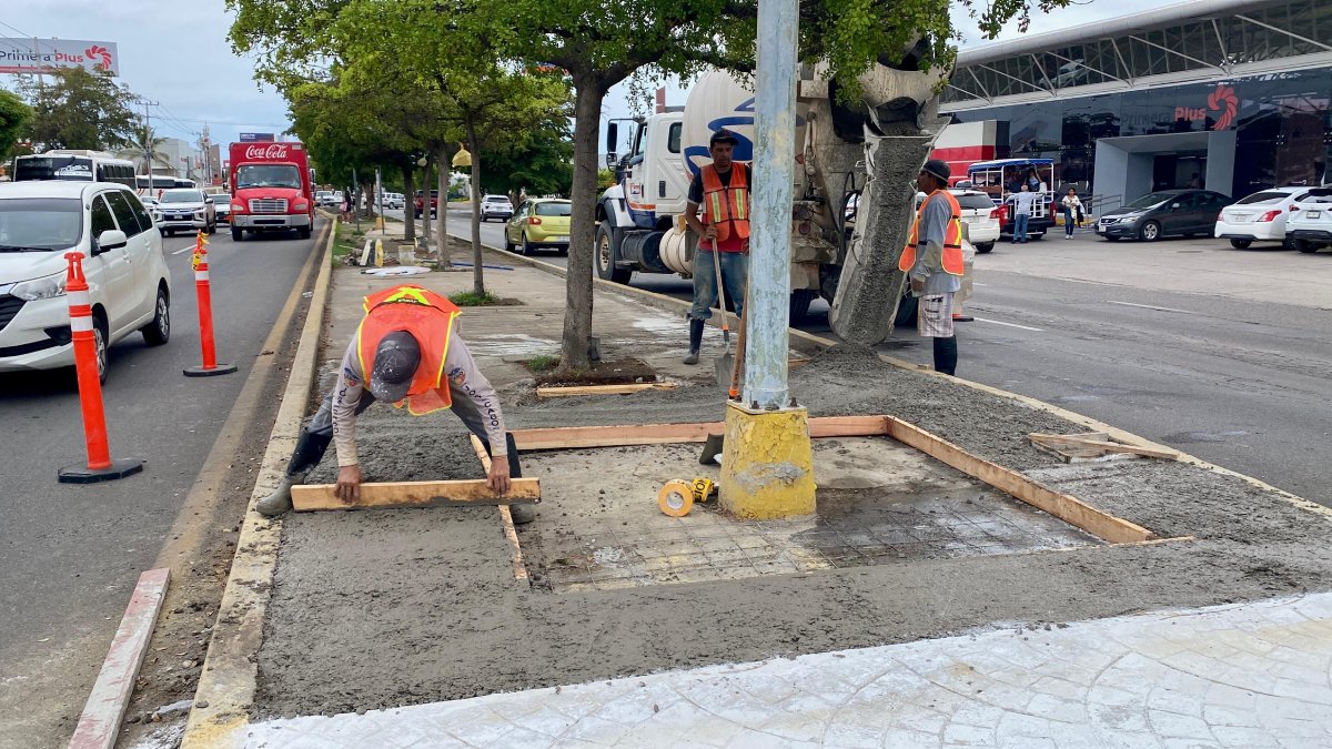 Avanza la rehabilitación de camellones de avenidas principales de Mazatlán