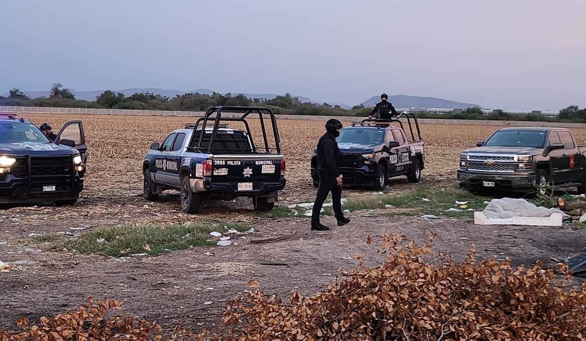 Sabuesos Guerreras localizan restos óseos junto al Canal 7 en Culiacán