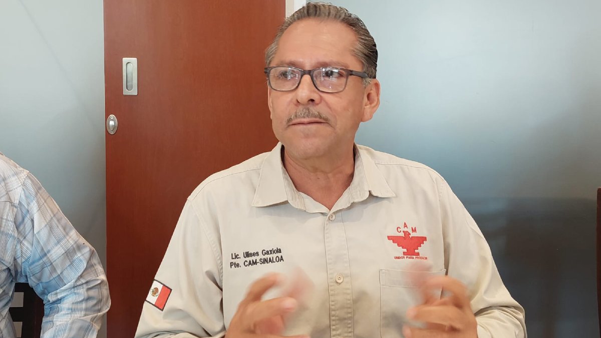 Reclaman falta de atención de la fiscal, siendo vicefiscal conoció de un fraude y no atendió la carpeta: Gaxiola