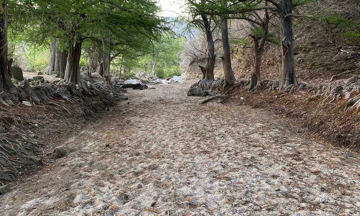 Lluvias del fin de semana en Choix no impactaron en la recuperación de arroyos, ríos, ni abrevaderos