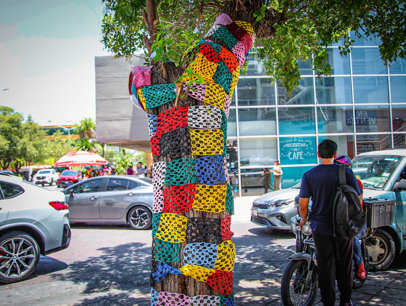 Árbol en el centro de Culiacán es embellecido con grafiti de tejido