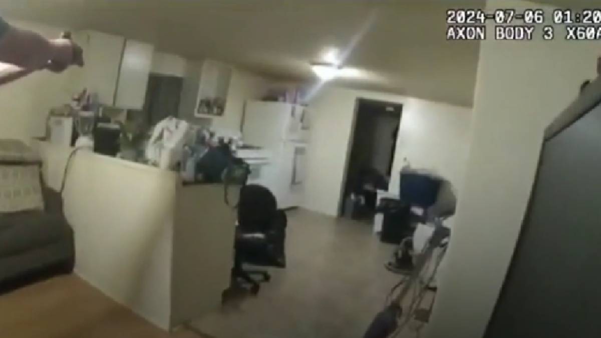 Brutalidad policial: Mujer afroamericana desarmada muere tras disparos de un agente en Illinois