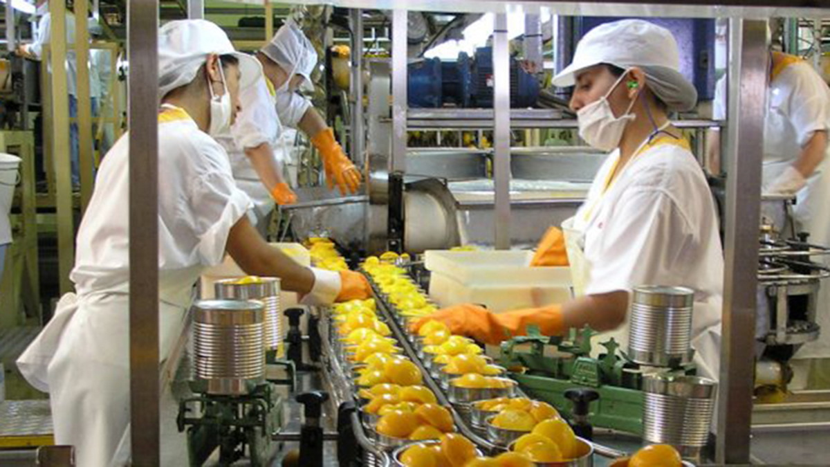 La falta de industrialización ha limitado el desarrollo económico de Sinaloa: Empresarios