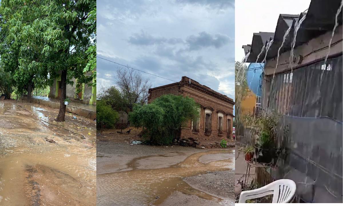 ¡Los temporaleros están alegres! Cae la primera lluvia en Bacubirito, Sinaloa