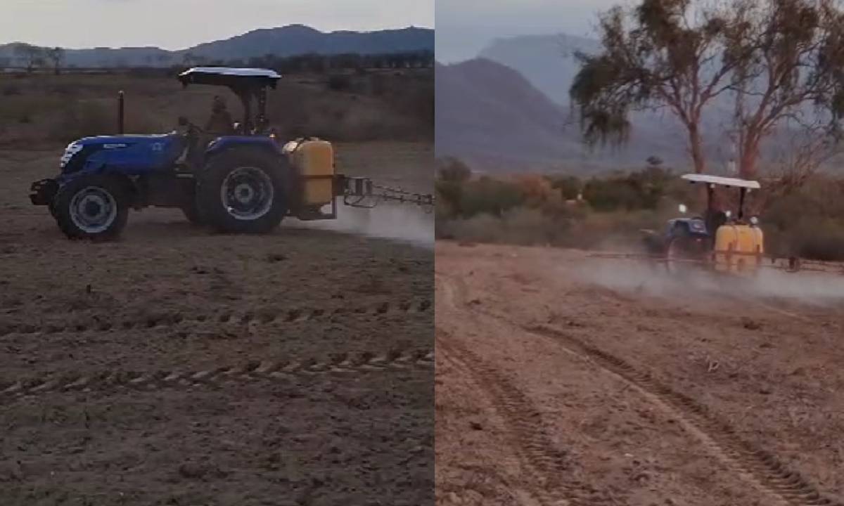 Aprovechan al máximo temporaleros de Choix la humedad y piden agilidad de las semillas