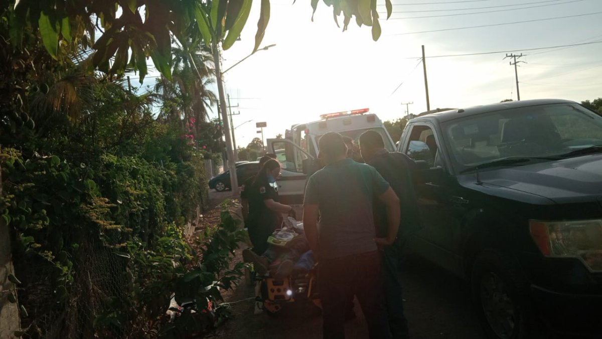 Adulto mayor pierde la vida tras ser atacado por abejas en San José de Ahome