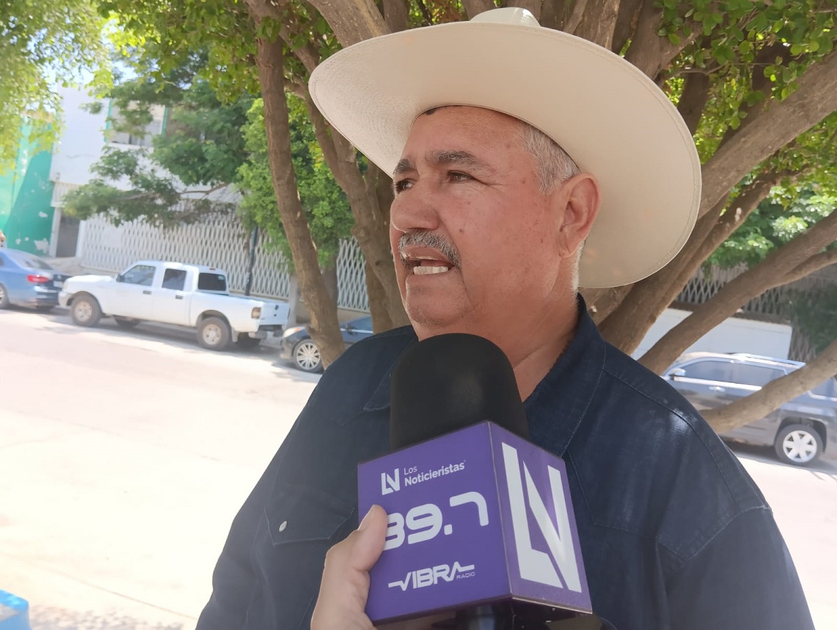 Hasta en un 70 por ciento se han pagado las cosechas en Guasave; reporta Morena Agropecuaria