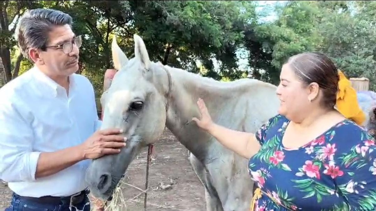 ¿Que se llame Esperanza? Ella es Isela Patricia, la valiente rescatista de yegua maltratada en Guasave