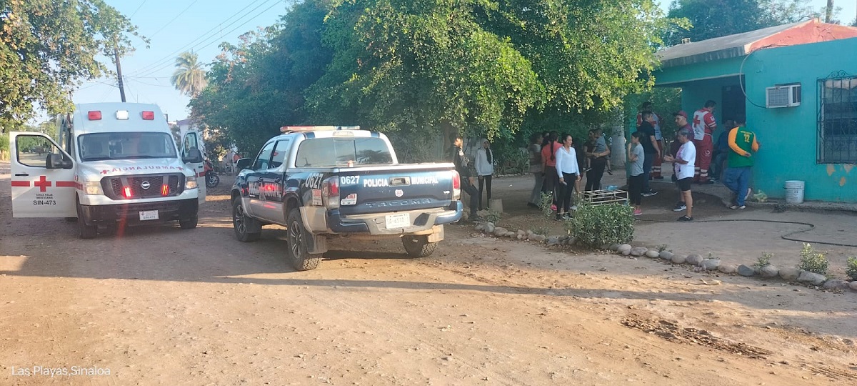 Nueve personas lesionadas en ataque de abejas registrado en Guasave