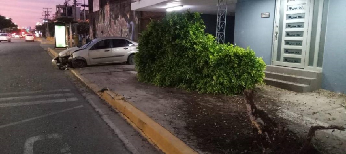 Pierde el control de su vehículo y se estrella contra árbol en Mazatlán