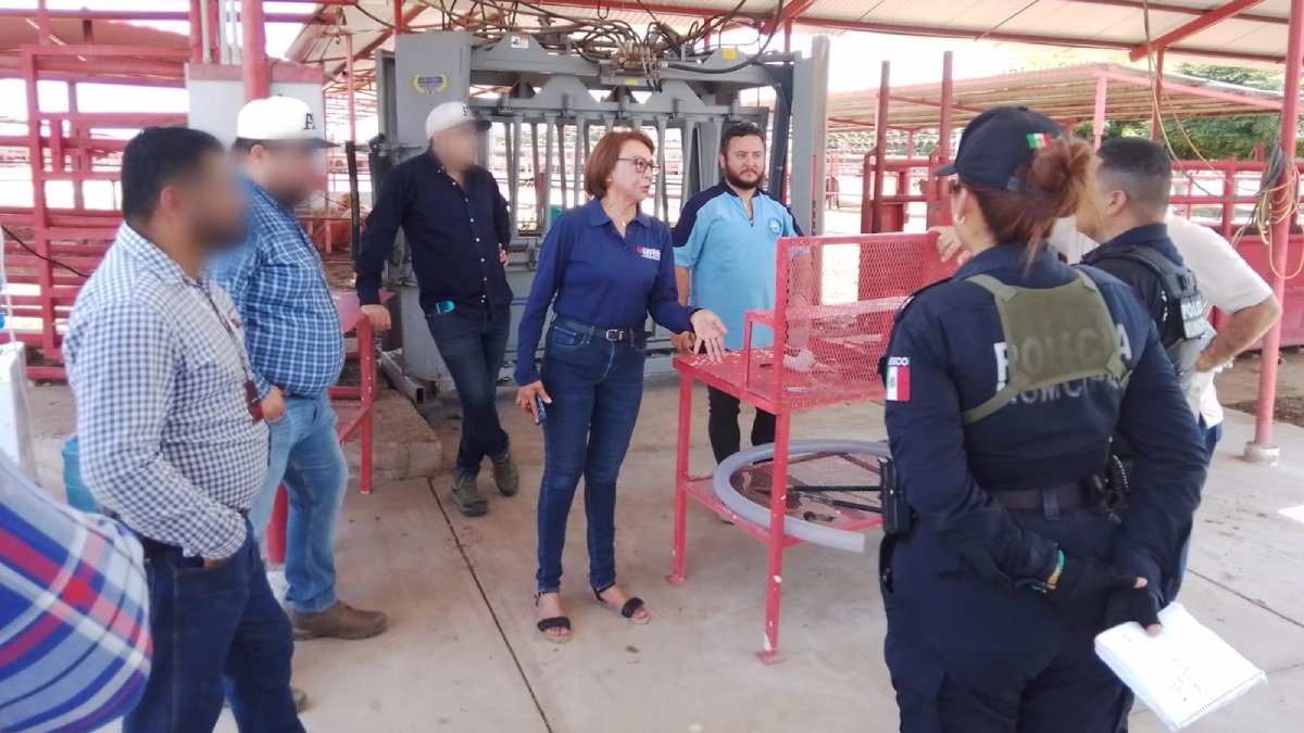 Ayuntamiento de Guasave supervisa rancho ganadero en San Rafael, turnan a Sader y Coepris el caso