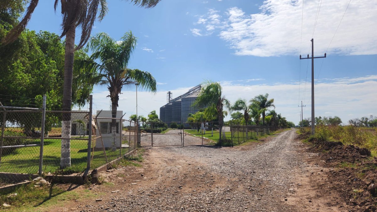 Columbia compromete pagos a garbanceros de Guasave para este viernes; productores de maíz siguen pendientes