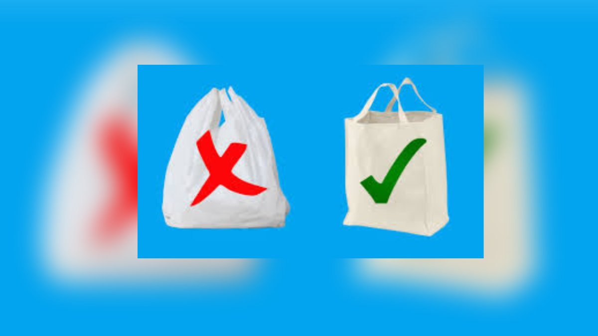 Día Internacional Libre de Bolsas de Plástico: contaminación e impacto ambiental