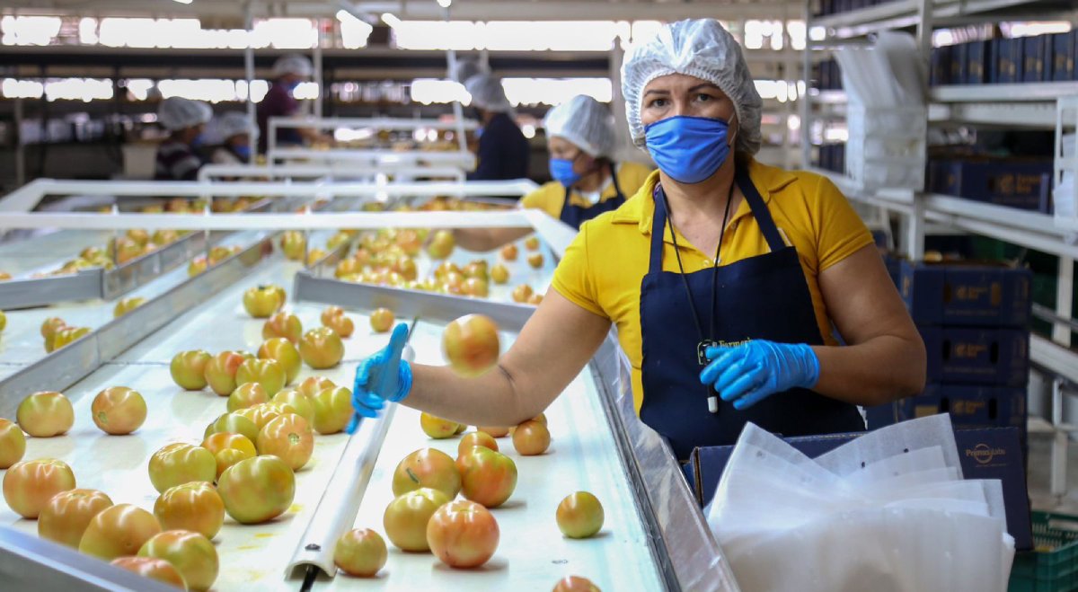 La economía de Sinaloa creció un 7.1% durante el primer trimestre del 2024