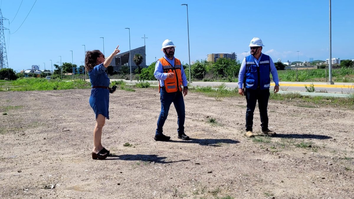 Supervisan Ecología y CFE la avenida Delfín de Mazatlán para la arborización masiva