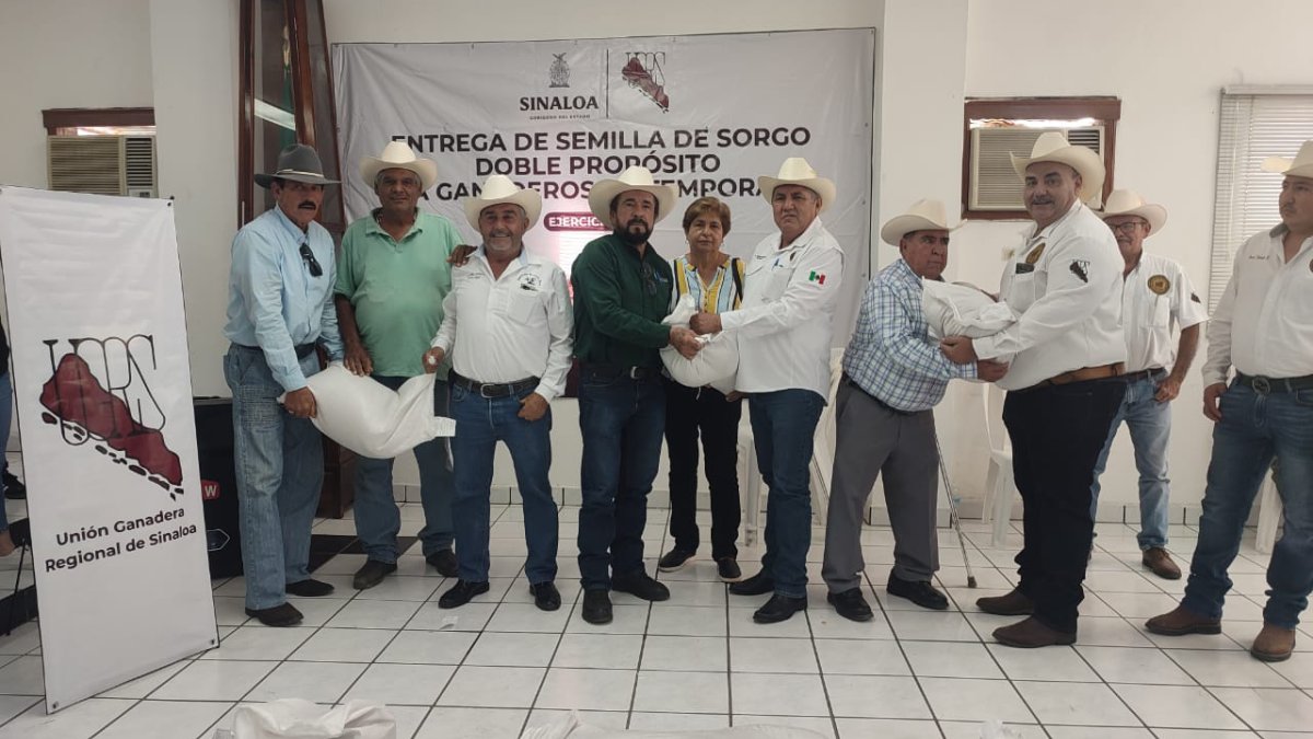 Benefician a ganaderos de Mazatlán con semillas de sorgo para fortalecer su producción