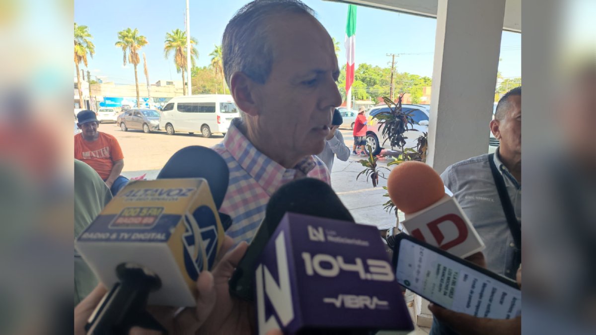 Hay que respetar decisión del Teesin; recuperar diputaciones para Morena plantea legislatura vigorosa: Vargas